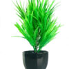 Decoration plant - Image 2