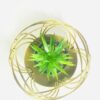 Round metal decoration piece with grass - Image 2